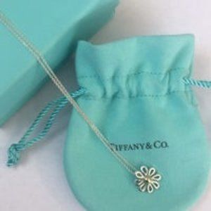 Tiffany & Co. 18K Gold & silver necklace